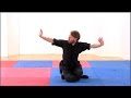 Choy Li Fut Kung Fu | Level elbow form