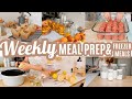 EASY BUDGET FRIENDLY WEEKLY MEAL PREP RECIPES LARGE FAMILY MEALS WHATS FOR DINNER FREEZER MEALS