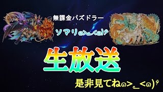 【パズドラ生放送】闘技場マルチ(๑•̀ㅂ•́)و✧使用PTは概要欄参照 スタミナ切れるまで