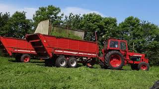 Veteran Traktor Massey Ferguson/Volvo/Ford/Fiat