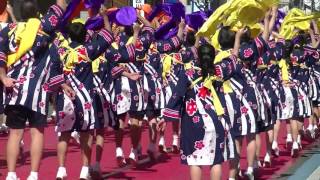 第７４回尾道みなと祭【第１６回ええじゃんＳＡＮＳＡ・がり・踊りコンテスト】百花繚乱①