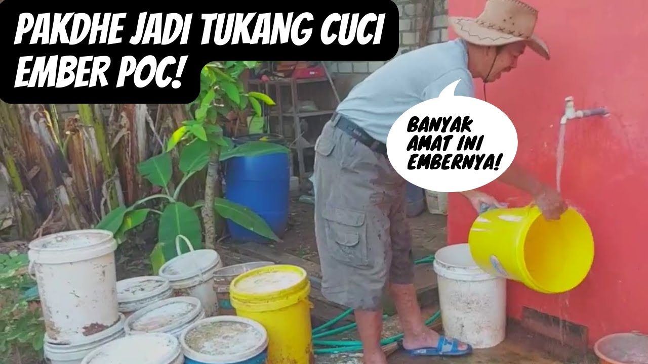 Membersihkan Ember Pupuk Organik Cair #dailyvlog #berkebun #pensiundini ...