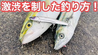 【激渋を制す釣り方】サワラ・太刀魚入りました！！運では無く、攻略して青物を釣り上げる！【ショアジギング】