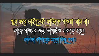 শুধু মন থেকে চাইলেই হয় না_সে মানুষটা ভাগ্যেও থাকতে হয় 💔| ভালোবাসা নিয়ে কষ্টের কিছু কথা | Sad Love 😭