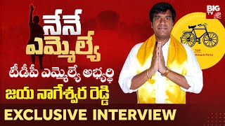 Yemmiganur TDP Candidate Jaya Nageswara Reddy Exclusive Interview LIVE | Nene MLA | BIG TV