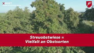 Die Streuobstwiese ist im Herbst besonders bunt 💚💛🧡❤️