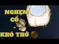 Đặc Trị Nghẹn Cổ, Khó Thở do Trào Ngược Dạ Dày Hiệu Quả Không Cần Dùng Thuốc