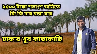 ২৫০০ টাকা শতাংশ!! ঢাকার কাছেই ২৫ শ টাকা শতাংশ জমিতে কি কি হয়। কম দামের জমি কোথায় পাওয়া যায়।