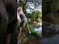 net casting slow motion kerala style fishing