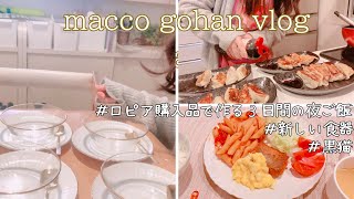 【主婦vlog】ロピア購入品で作る３日間の夜ご飯｜新しい食器｜ダイソー購入品｜サーモンフライをタルタルソースで｜黒猫クロコ｜簡単美味しい献立 vol.66