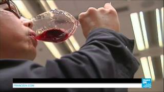 CHINA - Country becomes 2nd biggest wine growing area in the world