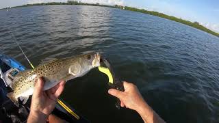 Catching my first Permit \u0026 many more fish in Lemon Bay Englewood which I have never fished before💪🎣🙂