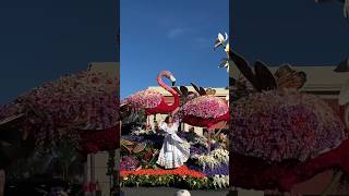 Downey / 2024 Rose Parade #losangeles #洛杉矶 #dailyvlog #livinginla #pasadena #roseparade