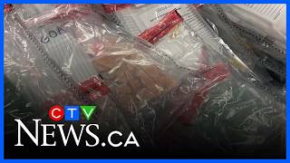 Winnipeg police execute Manitoba's largest drug bust, valued at over $37M
