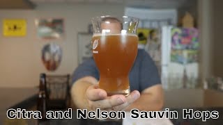 Golden Promise with Citra and Nelson Sauvin Hops Homebrew Tasting 1