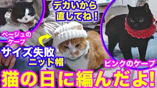 2025ｰ2−23 保護猫たちの「ほっこり猫ライブ」ハッチ＆マック＋黒猫めめ＋がんサバイバーママ Cat live Stream in Japan -Cat Life TV