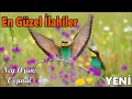 en Çok dİnlenen İlahİler yenİ gÜzel İlahİler kariŞik sevİlen İlahİler aĞlatan İlahİ dİnle