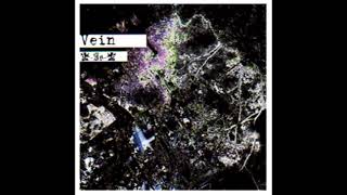 Is    Vein レイヴのレン、石田、凪在籍