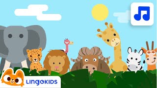 Wild Animals Song 🦒 Safari Chants for Preschoolers | Lingokids Music