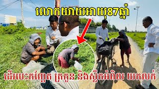 លោកយាយអាយុ87ធ្លាក់ខ្លួនកំសត់ ដើរបេះកញ្ឆែត ត្រកួន និងស្លឹកអំពិល យកទៅលក់មុខរោងចក្រ