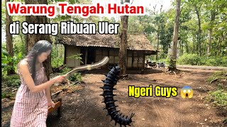 Warung Tengah Hutan Ponorogo di Serang Ribuan Ulat Jati