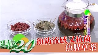 天然抗生素！預防流感又抗菌的救命「魚腥草」料理食譜 健康2.0