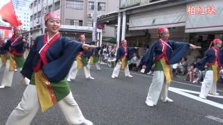 よさこい柏紅塾 2013高知本祭8月11日菜園場競演場