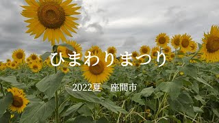 【ひまわり祭り】座間市のひまわりまつりに行ってきました。広大なひまわり畑に５５万本のひまわりが咲きます。ひまわり畑の中を散策してきました。【お出かけvlog】