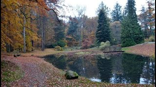 Ekoszansa- Walory ekologiczne Pomorza. Arboretum Wirty. Odcinek 2