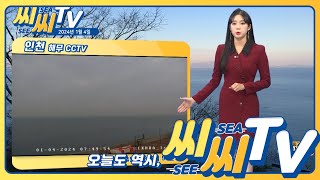 [See Sea TV]24년1월4일 한낮부터 다시 온화한 날씨~ 전체적 문제 없는 해황!/ 해양예보방송