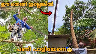 ഈ തെങ്ങ് ഇല്ലെങ്കിൽ നമ്മൾ എന്ത് ചെയ്യുമായിരുന്നു 😧 | Village Woodpecker | Tree cutting | spike