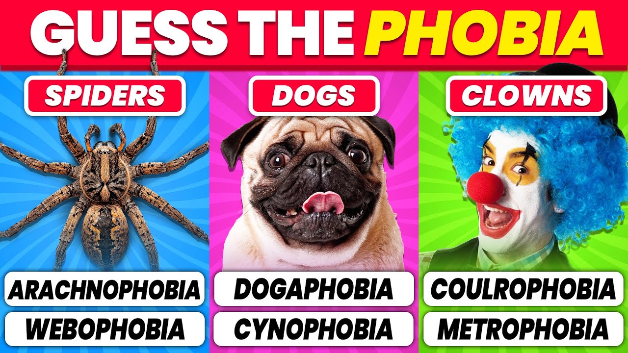 Guess The Phobia Quiz ёяс ёяжз Can You Name The Fear ёяш Youtube