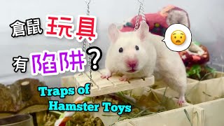 這7種倉鼠玩具有陷阱! Traps of Hamster Toys