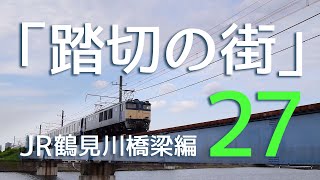 JR貨物 踏切の街27 特別編 JR鶴見川橋梁 EF64-1031 + E235系F-17編成11連