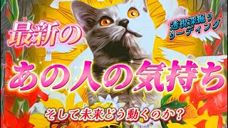 【心中激白❗️】これが最新のあの人の気持ち💗深掘りでリアルな本音、未来の動きを視ます✨個人鑑定級　透視タロット占い