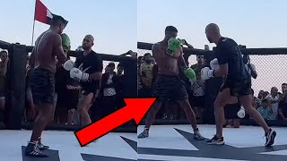 ANDREW TATE DESTROYS HSTIKKYTOKKY IN BOXING MATCH!