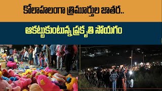 East Godavari  : కోలాహలంగా త్రిమూర్తుల జాతర.. ఆకట్టుకుంటున్న ప్రకృతి సోయగం| #local18