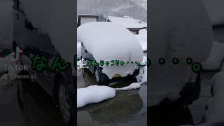 車に積もった雪を一気に落としてみた！ #雪下ろし  #富山  #雪  #冬  #車