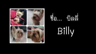 น้องหมาพูดได้ (Speaking Dog Says MaMa)