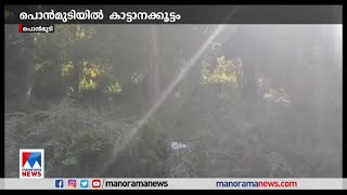 വേനല്‍ കനത്തു; പൊന്മുടിയില്‍ കാട്ടാനക്കൂട്ടമിറങ്ങി | Trivandrum Wild elephant