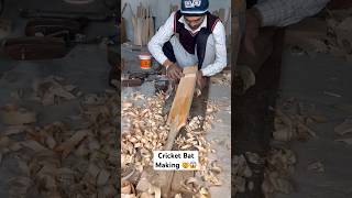 Cricket Bat Making 🤯😱