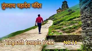 तुंगनाथ महादेव  I दुनिया का सबसे ऊंचाई पर स्थित शिव मंदिर l Tungnath temple I chopta l part 11 l