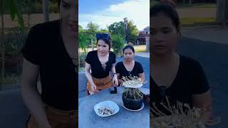 អត់ស្គាល់ពងក្រួចកូន