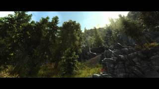 Tranquil Forest - Elder Scrolls V Skyrim - Live Wallpaper