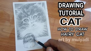 How to draw CUTE CAT FACE || hairy cat pencil sketch