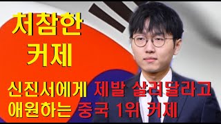 신진서에게 제발 살려 달라고 애원하는 중국 바둑 1위 커제~