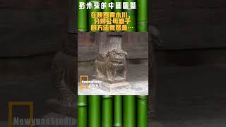 分辨公母獅子的方法竟然可以是…（陝西青木川魏氏宅院)Chinese male and female stone lions【致未來的中國圖鑑】No.65#旅行 #雕塑 #狮子 #陕西 #文物 #人文