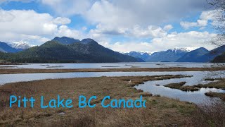 Pitt Lake  皮特湖 / Across Canada 横跨加拿大之BC