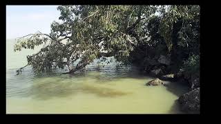 Largest Lake in Ethiopia,Lake Tana(ጣና ሃይቅ)