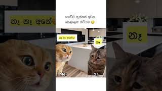 ඔයාගේ කෙල්ලත් මෙහෙමද 😁😂 #viral #foryoutube